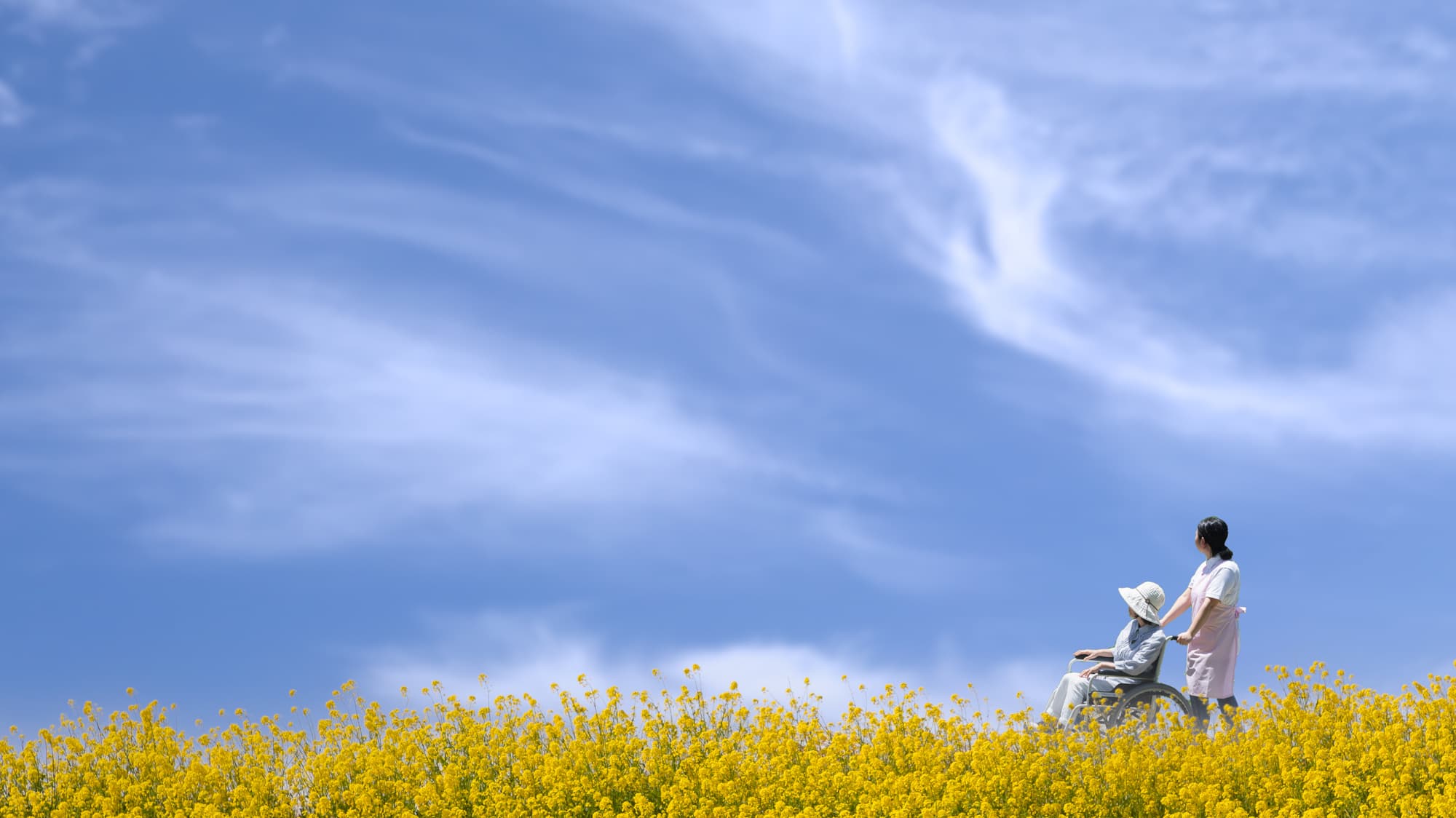 介護と青空